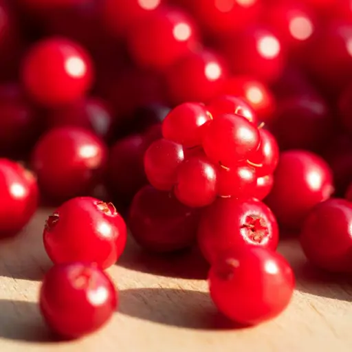 Calories in Foxberry